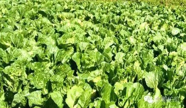 1481163449728982.png 圖片.png